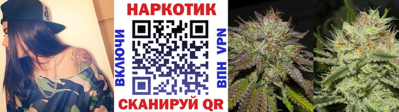 Где купить наркоту Волгореченск blacksprut вход  Псилоцибиновые грибы  МЕФ  СОЛЬ  Каннабис 